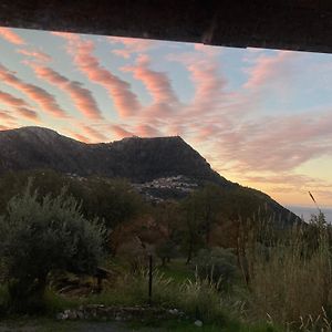 Affittacamere L’ Agrumeto